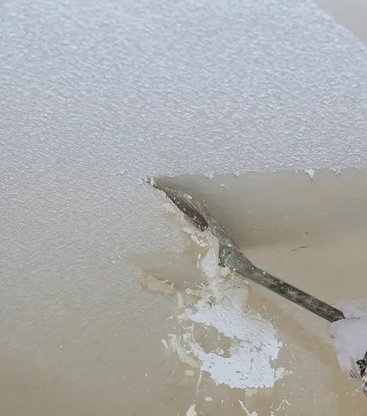 popcorn ceiling removal tampa bay popcorn ceiling removal tampa bay